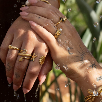 Collection Martin Jewels